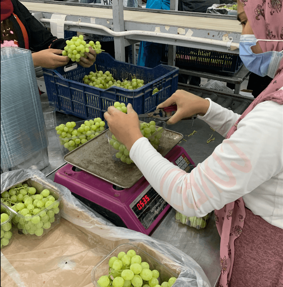Freshness in Every Box